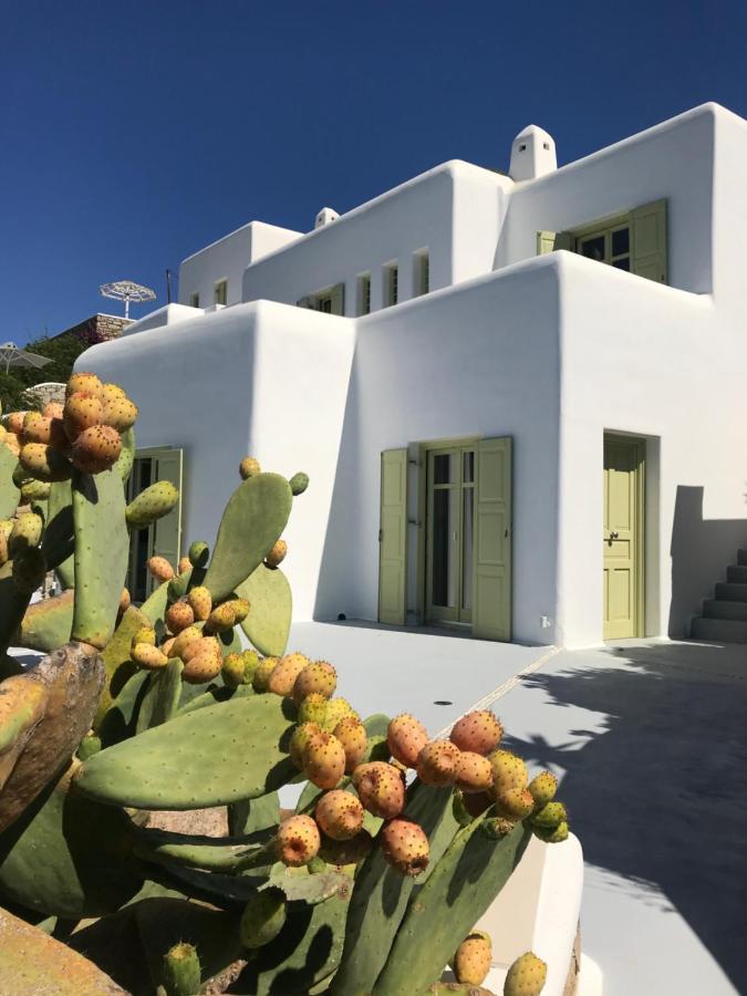 Villa Agnes Mykonos Mykonos Town Kültér fotó